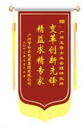白云電氣集團(tuán)贈(zèng)送正睿咨詢(xún)變革創(chuàng)新先鋒，精益求精專(zhuān)家錦旗