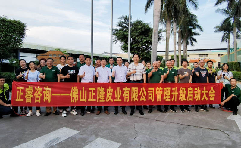 助力皮革行業(yè)再樹標(biāo)桿——正隆皮業(yè)全面管理升級項目啟動！