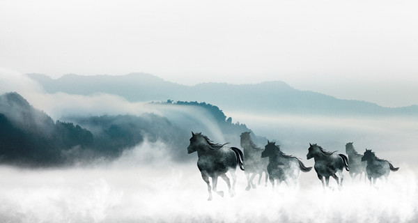 企業(yè)戰(zhàn)略規(guī)劃：為企業(yè)制定全面、長遠的發(fā)展戰(zhàn)略