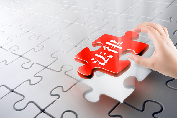 預(yù)算審計(jì)咨詢(xún)：指導(dǎo)企業(yè)開(kāi)展審計(jì)工作，確保預(yù)算合規(guī)