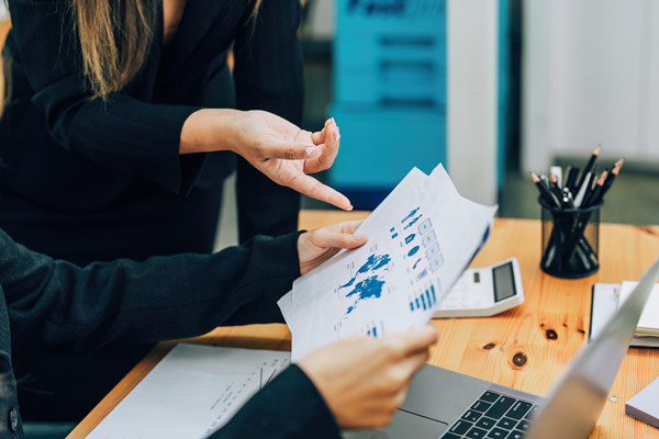 企業(yè)預(yù)算管理：打造財(cái)務(wù)穩(wěn)健，引領(lǐng)企業(yè)騰飛新篇章