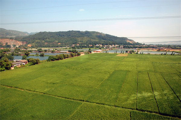 管理咨詢?nèi)绾沃η暹h企業(yè)解決發(fā)展難題？