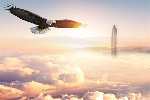 企業(yè)文化與企業(yè)管理如何協(xié)同，推動(dòng)企業(yè)持續(xù)發(fā)展？