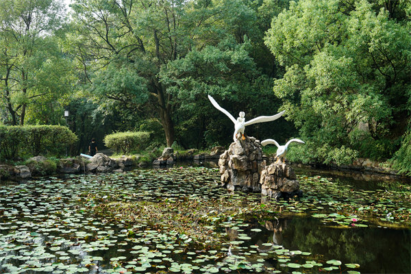 株洲預算管理咨詢公司如何為企業(yè)打造精準預算管理體系？