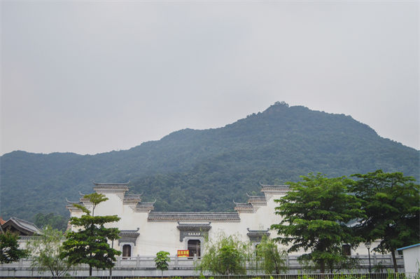 佛山組織規(guī)劃咨詢公司如何優(yōu)化企業(yè)人才梯隊(duì)建設(shè)？