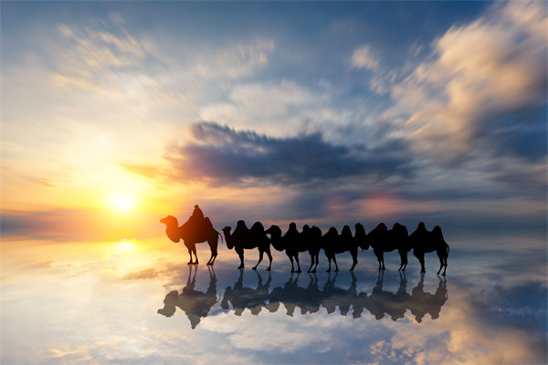 戰(zhàn)略與文化脫節(jié)，企業(yè)理念如何落地支撐發(fā)展？