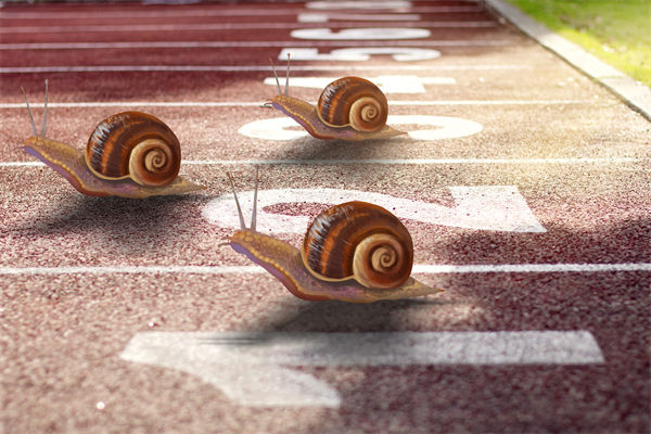 新業(yè)務(wù)拓展艱難，年度經(jīng)營計(jì)劃為其定制專屬發(fā)展路徑