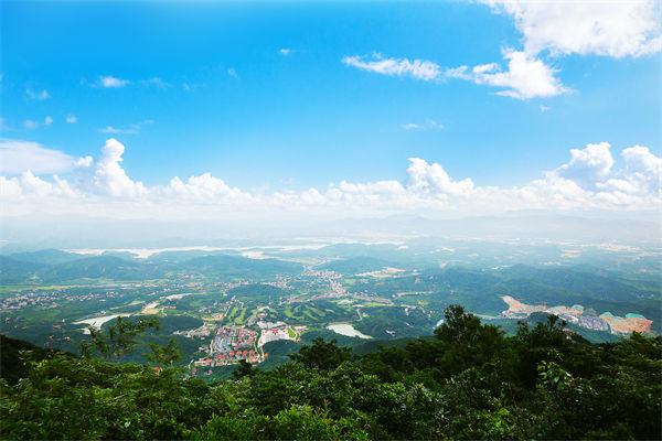 企業(yè)戰(zhàn)略飄在半空落地難，惠州戰(zhàn)略咨詢公司能錨定方向嗎？