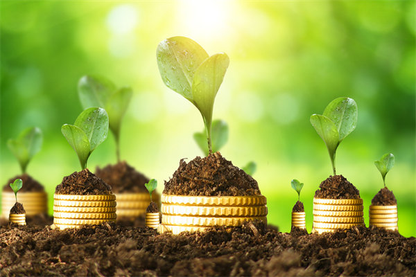 預算管理咨詢公司如何幫助企業(yè)破解資金錯配問題？