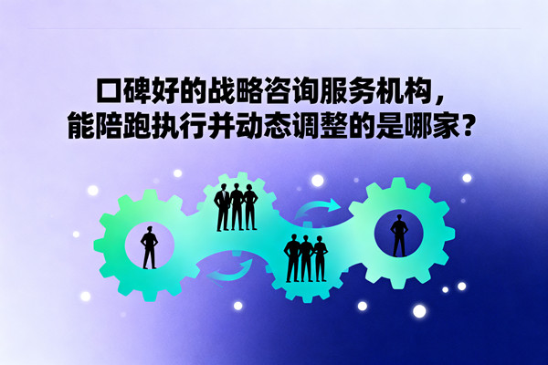 口碑好的戰(zhàn)略咨詢服務(wù)機(jī)構(gòu)，能陪跑執(zhí)行并動(dòng)態(tài)調(diào)整的是哪家？